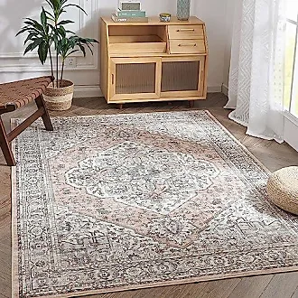 JINCHAN Area Rug Runner Rug Hallway Vintage Rug Indoor Floor