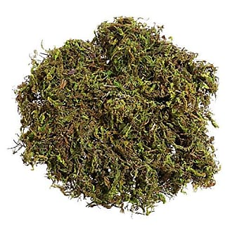 Garneck 20g Artificial Moss Lichen, 1 Bag Moss Preserved Simulation Green  Plants Faux Lichen Fake Moss for Decoration Garden Patio