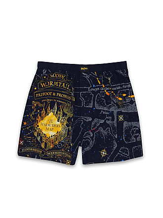 Harry Potter Ravenclaw House Boxer Briefs with Striped Print 