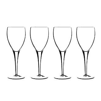 Michelangelo Champagne or Sparkling Wine Flutes - Italian Made (Set of 4)