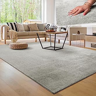 Tapis Poil Ras Tapis De Salon Monochrome Design Moderne Lavable, Couleur:  Argent, Dimension:240x340 cm : : Cuisine et Maison