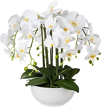 Kunstpflanzen in Weiß: 100+ Produkte ab Stylight Sale: 4,99 - € 