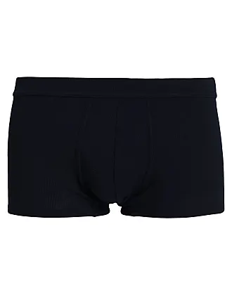Icebreaker Merino Men's Anatomica Underwear - Boxers, Black, X-Large :  : Clothing, Shoes & Accessories