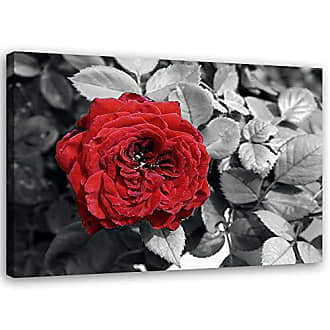 Feeby Leinwandbild Druckbild moderne Wanddekoration Tulpen Blumen rot 