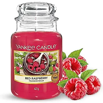 Yankee Candle Lemon Lavender Scented, Classic 22oz Large Jar Single Wick  Candle, Over 110 Hours of Burn Time