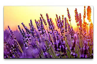 150x50cm Wandbild Leinwand Panorama Lavendel Lila Blumen Sinus Art Keilrahmen 