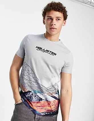 Camisetas Hollister para Hombre: 14+ productos | Stylight