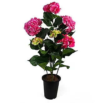 Kunstpflanzen (Wohnzimmer) in Pink: 56 Produkte - Sale: ab 6,25 € | Stylight