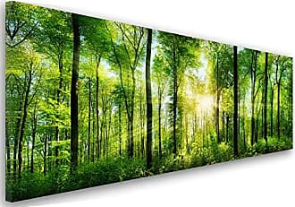 LEINWAND Bilder Natur Ausblick Wald WANDBILDER XXL Wohnzimmer Kunstdruck 
