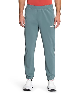 the north face essential pants