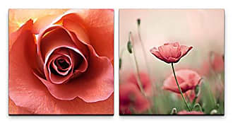 Leinwandbild Küche Wohnzimmer 60x40cm Rose Rosenblüte Blume Natur Keilrahmen 