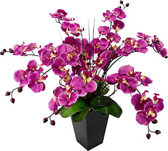 Kunstpflanzen in Pink: 53 Produkte - Sale: ab 6,25 € | Stylight