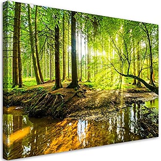 Leinwand-Bilder Wandbild Canvas Kunstdruck 120x60 Wald Natur 