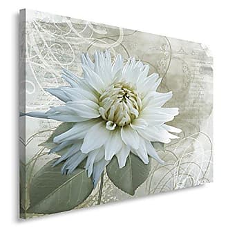 Leinwandbild Kunst-Druck 120x60 Bilder Blumen & Pflanzen Weiße Dahlie 