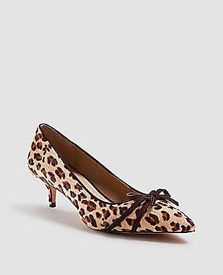 Ann Taylor Shoes / Footwear: Browse 58 