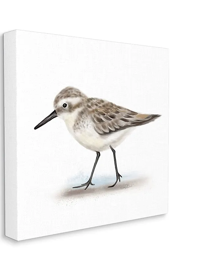 Stupell Industries Nautical Sandpiper Bird on Sand Speckled Feathers ...