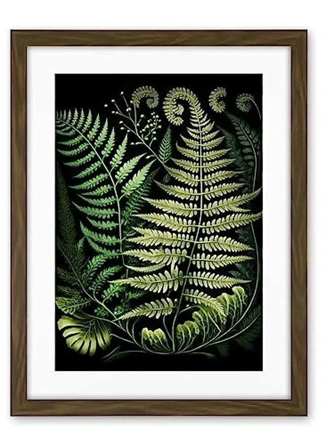 Compare Prices for Ernst Haeckel Style Fern Fronds Illustration Artwork ...