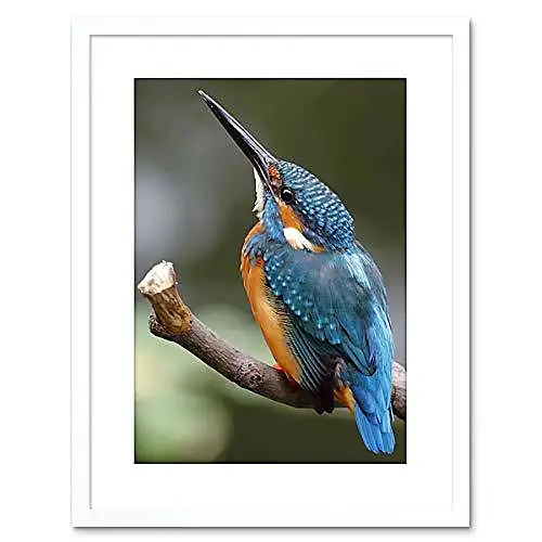 Abstract popular Kingfisher Hand Oil Painting, Pet Bird Decor Texture Framed Oil Painting, Table Ornament Artwork, Gift For Mother, Christmas Gift